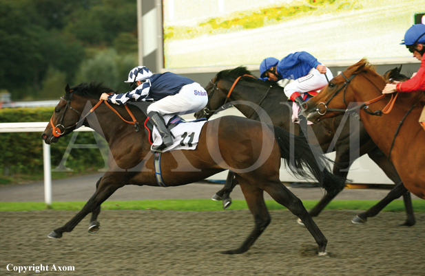 Songburst at Kempton - September 2011